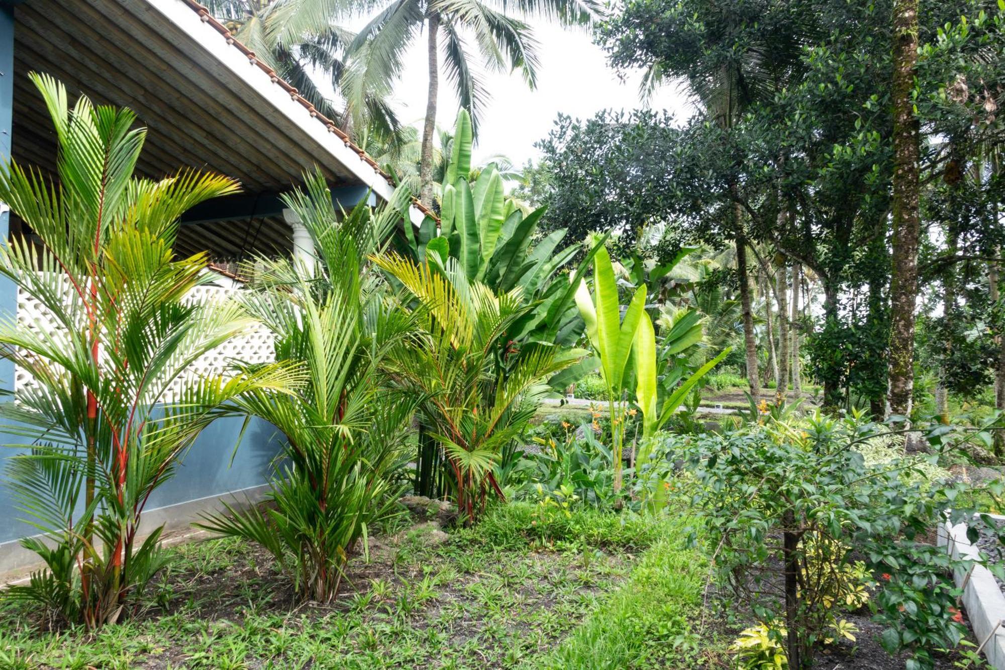 Darmada Eco Resort Sidemen  Eksteriør bilde